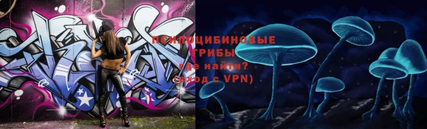 не бодяженный Зеленодольск